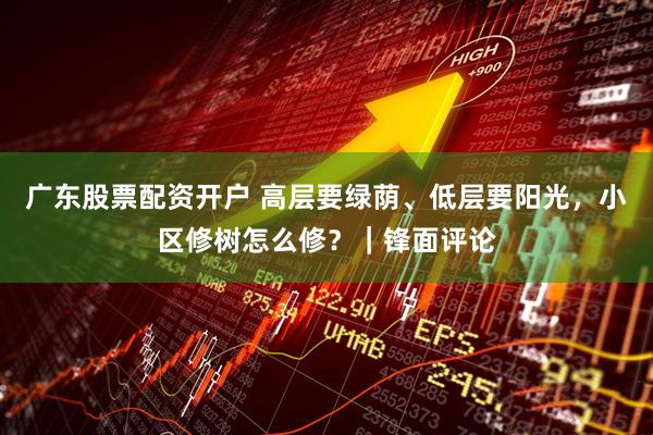 广东股票配资开户 高层要绿荫、低层要阳光，小区修树怎么修？｜锋面评论